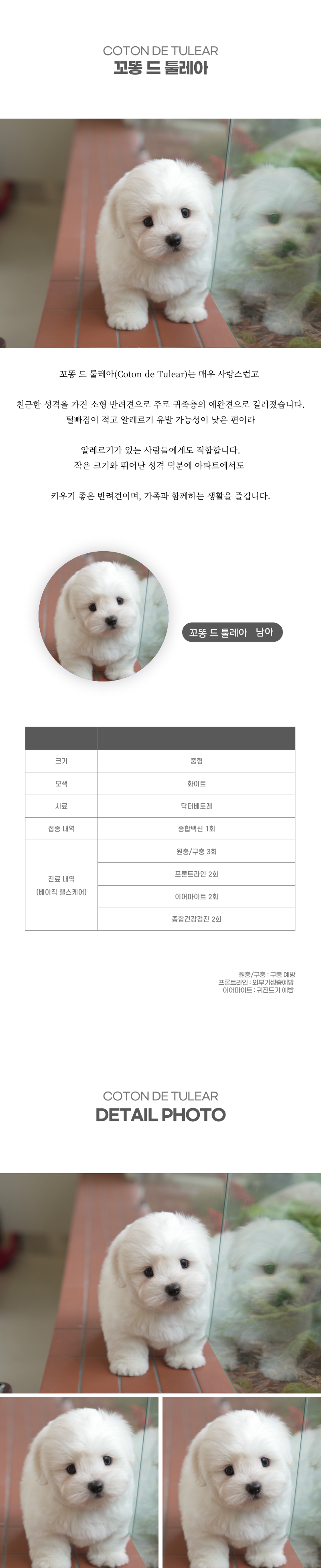 꼬똥_상세이미지_2